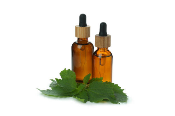 Bottles of nettle essence oil isolated on white background