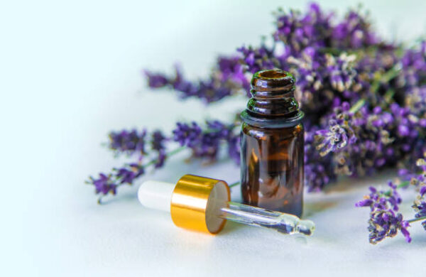 Lavender essential oil in a bottle. selective focus. nature.