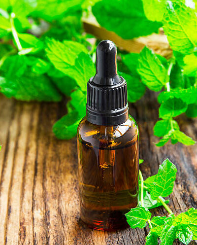 Mint essence/oil in black bottle on wooden board with mint leaves plant